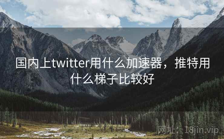 国内上twitter用什么加速器，推特用什么梯子比较好