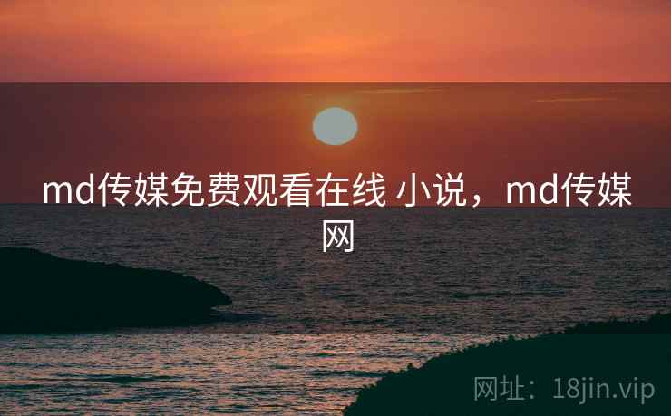 md传媒免费观看在线 小说，md传媒网