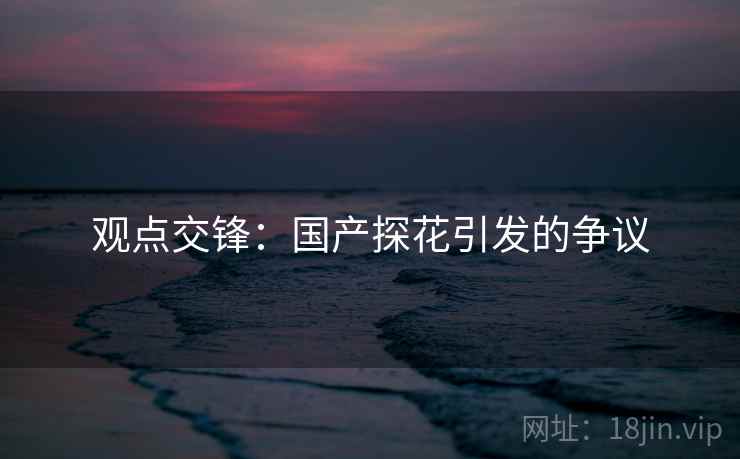 观点交锋:国产探花引发的争议 观点交锋:国产探花引发的争议