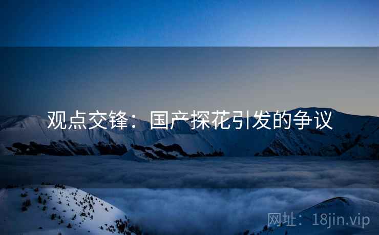 观点交锋：国产探花引发的争议
