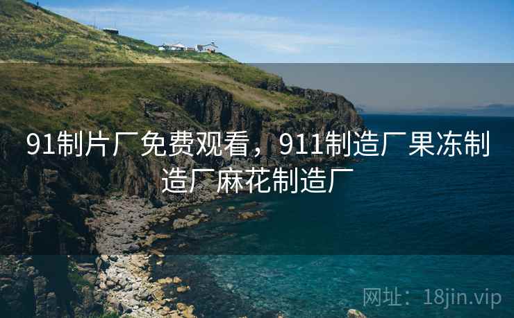 91制片厂免费观看，911制造厂果冻制造厂麻花制造厂