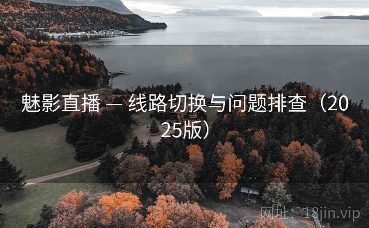 魅影直播 — 线路切换与问题排查(2025版)